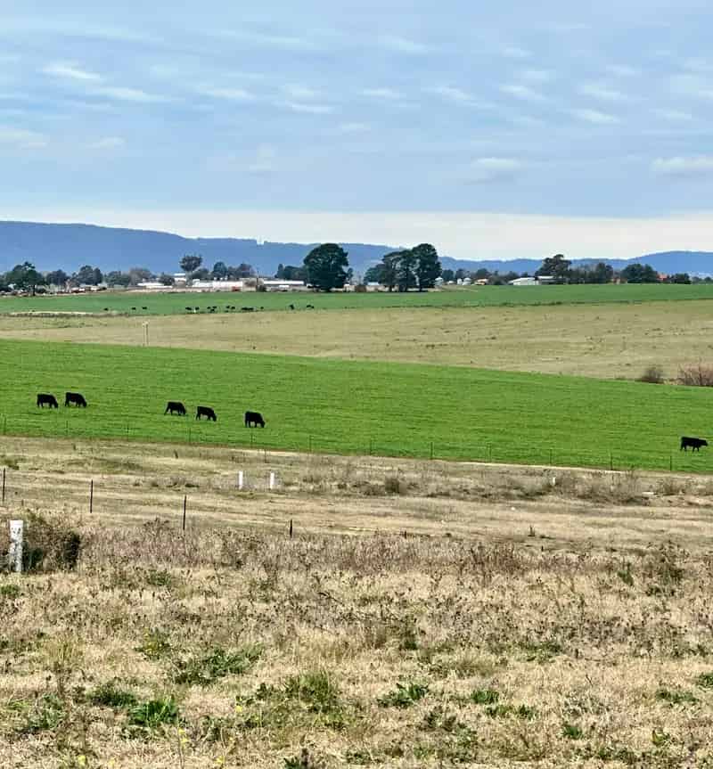 Land For Rent , Bathurst, New South Wales