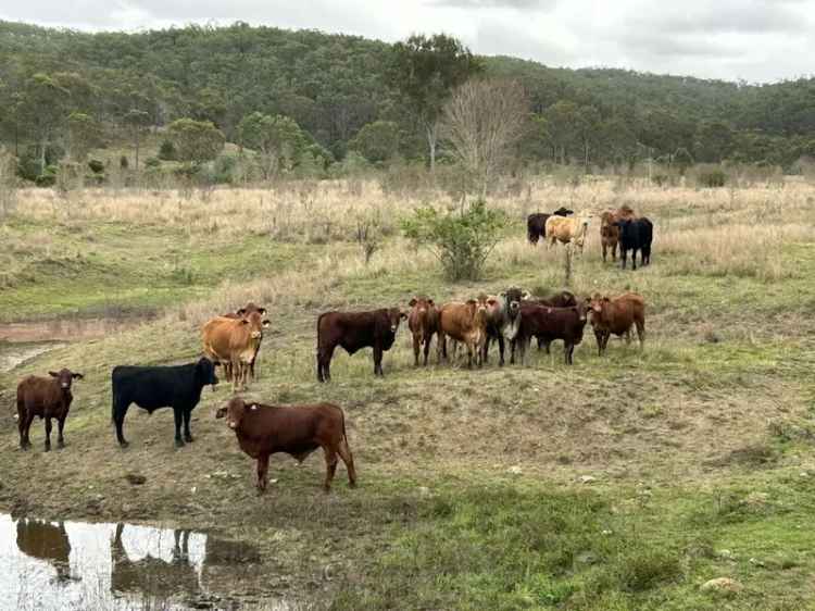 Rural For Sale in North Burnett Regional, Queensland