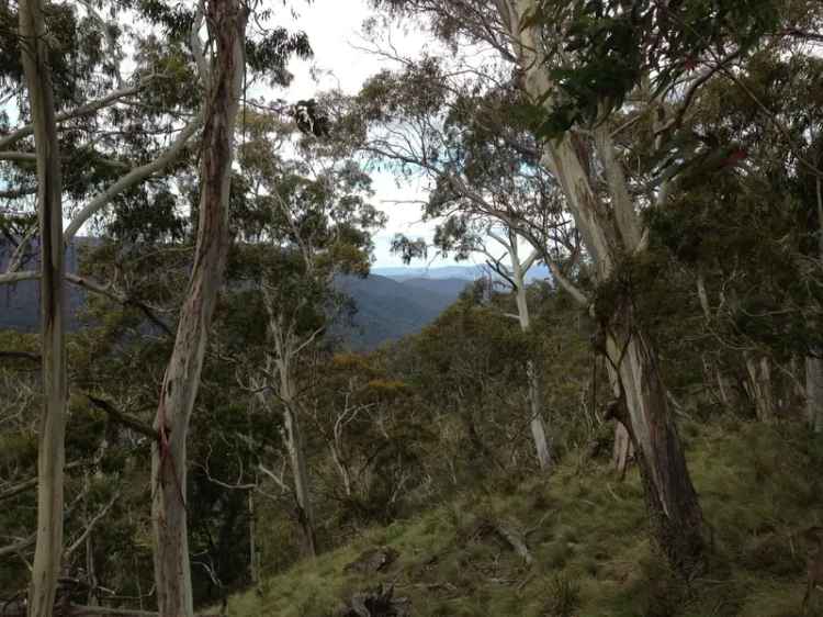 Buy land in Cathcart for weekend getaway with nature escape