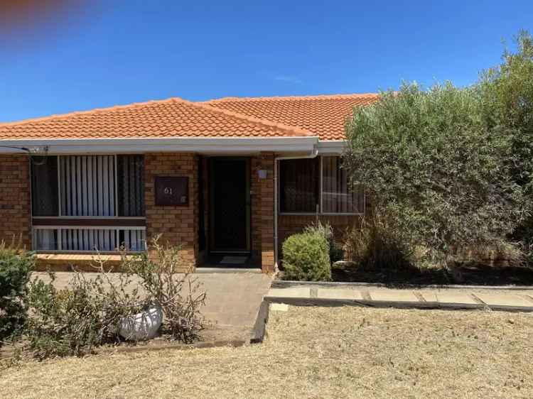 61 Drew Street Family Home 2 Living Areas Aircon Pets Considered