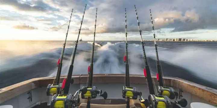 Sunshine Coast Fishing Charter Business For Sale