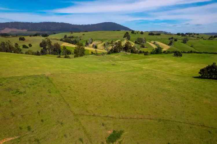 Rural For Sale in Dorset, Tasmania