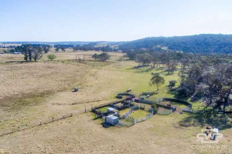 Buy rural property Winsom Downs with shed home & livestock setup