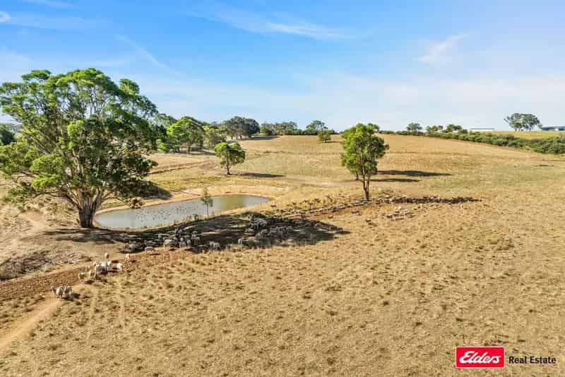 Rural property For Sale , Young, New South Wales