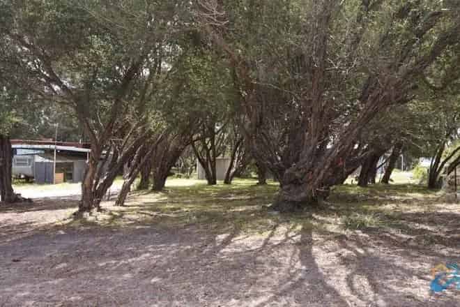 Land For Sale , 337, National Park Road, Shire of Wellington, Victoria