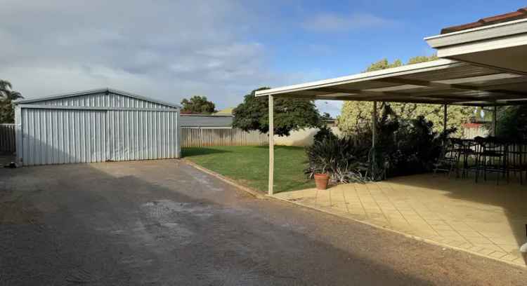 Neat 2x1 Home with Shed in Waggrakine