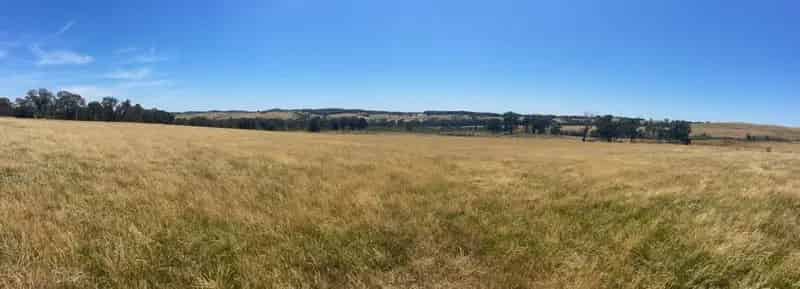 Buy Rural Property - 20 Hectares with Dam Near Rugby