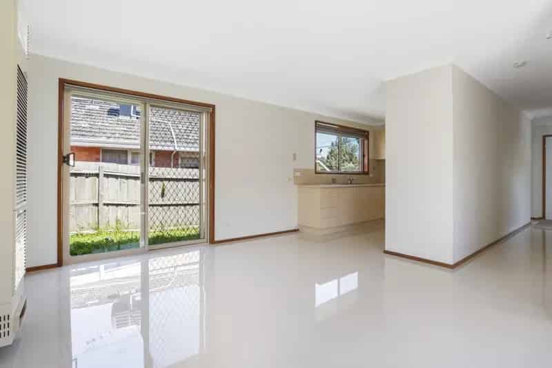 RENOVATED DELIGHT