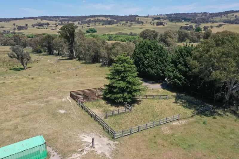 Livestock For Sale - Lot 2 Golspie Road, Laggan NSW 2583