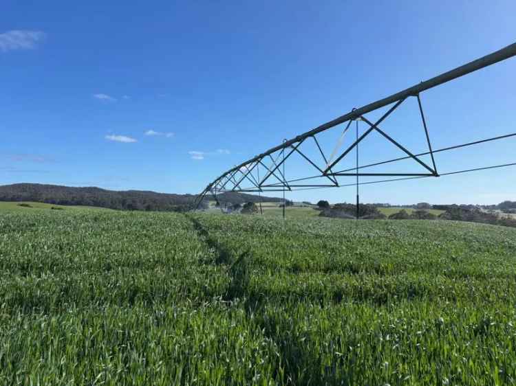 Tasmanian Farm 224ha with Irrigation and High Value Crops