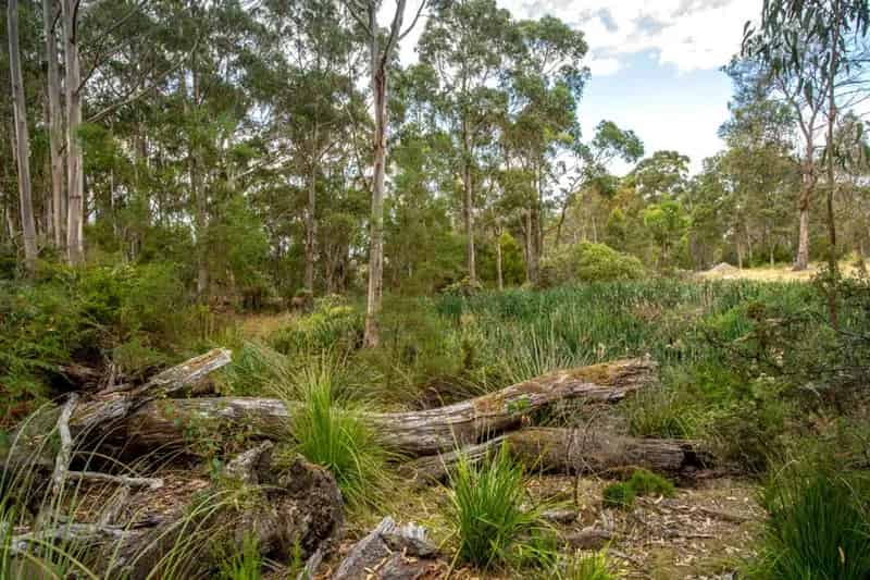 Rural property For Sale , Day Avenue, Sydney, New South Wales