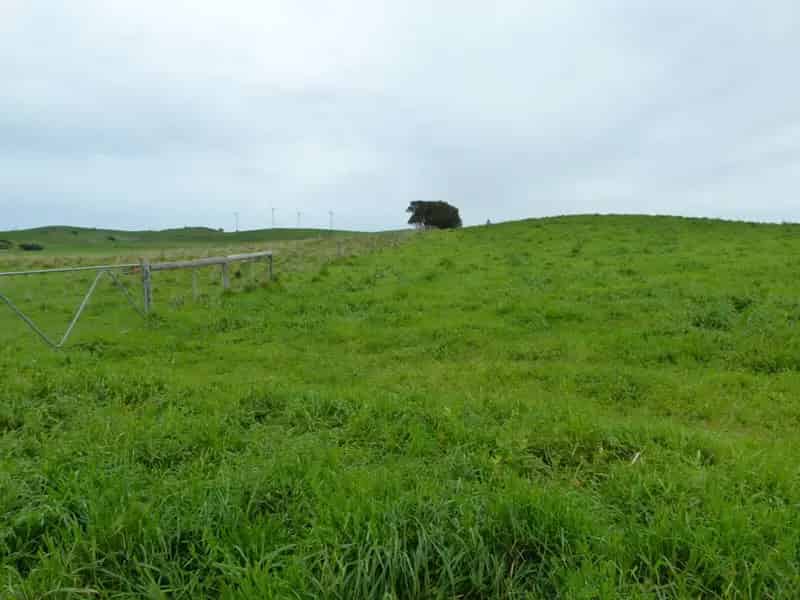 Buy Rural Property with 7 Paddocks and Hay Shed Features