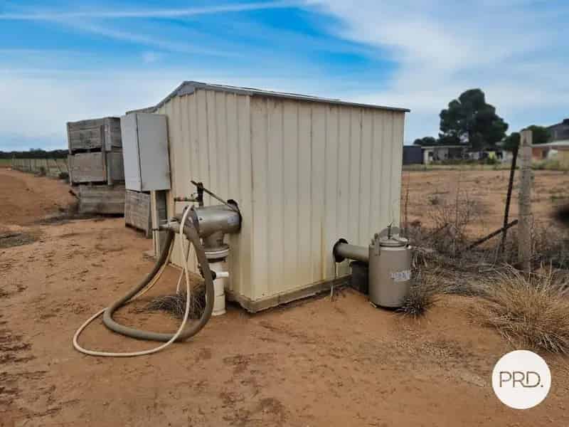 Agricultural Opportunity
