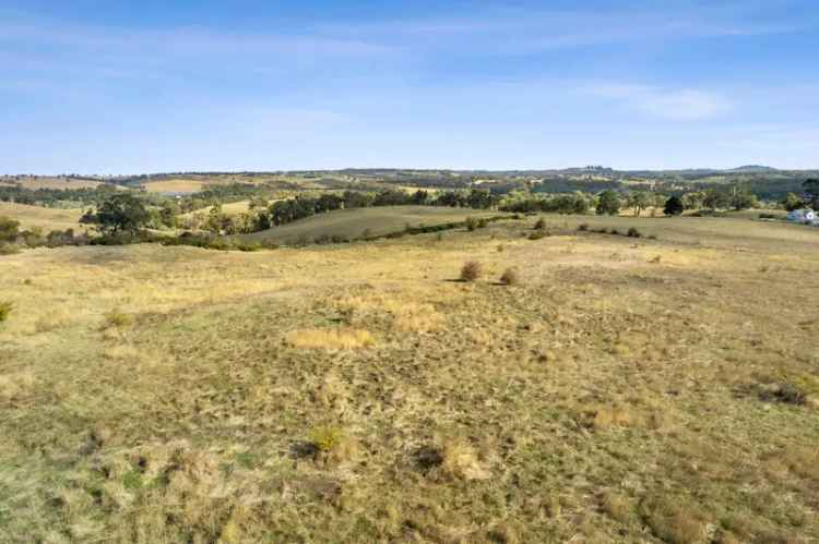 Buy Farming Zone Land in Picturesque Lauriston with Scenic Views