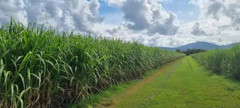 Rural property For Sale , Edmonton, Queensland