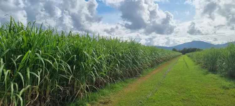 Rural For Sale in Edmonton, Queensland