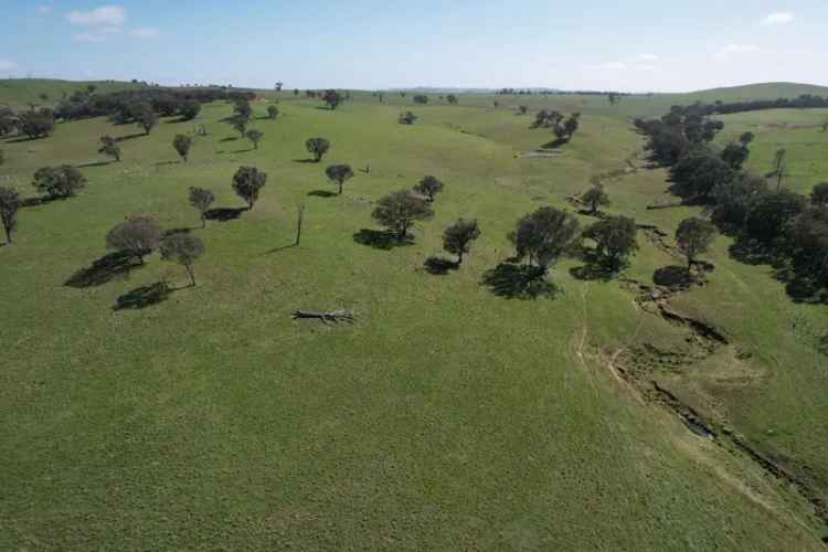 Buy Grazing Property in South-West Slopes NSW with Scenic Pastures