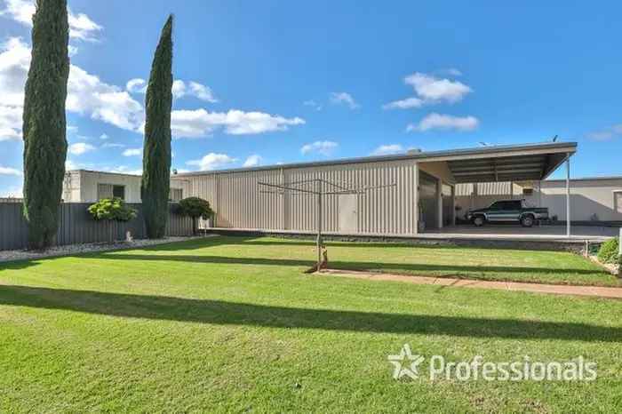 29 Acre Fruit Property in Robinvale - High Yielding Crimson Seedless, Thompson Seedless & Red Globe Grapes