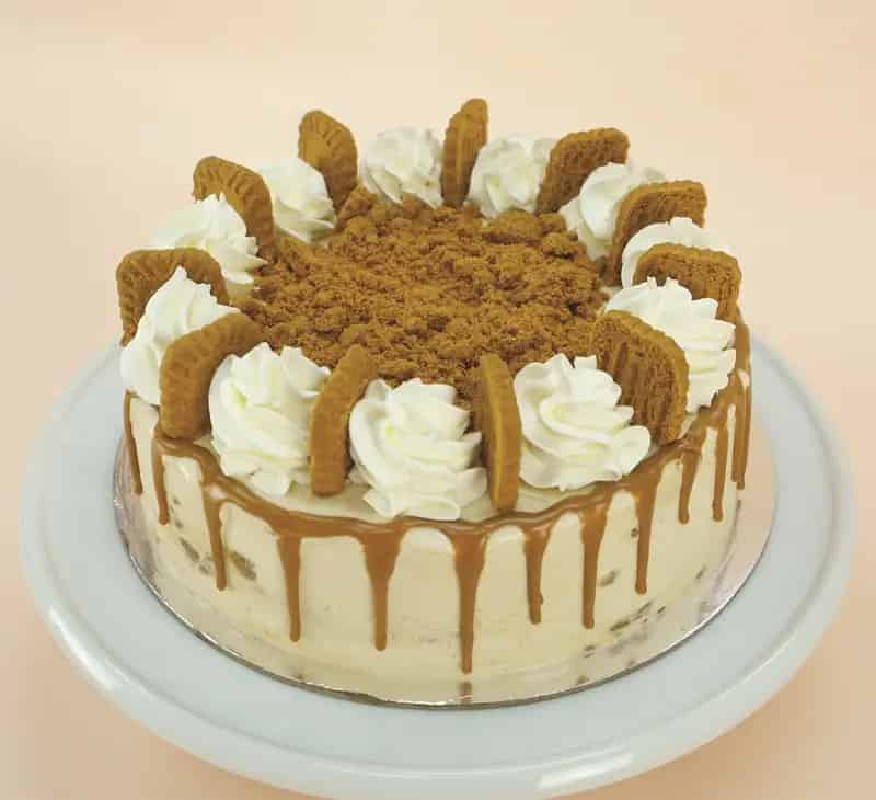 Buy gelatissimo business in Townsville with unique gelato offerings