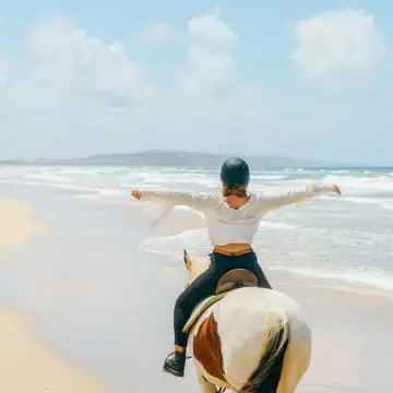 Buy Iconic Tourism Business in Noosa with Horse Riding Features