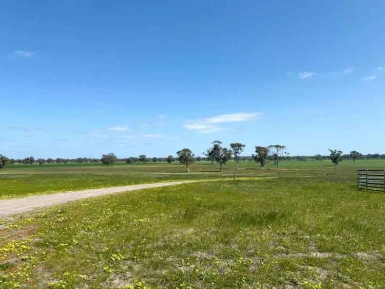 Rural For Sale in Naracoorte, South Australia