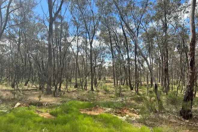 Vacant Land Moonlight Flat near Maryborough Rural Living