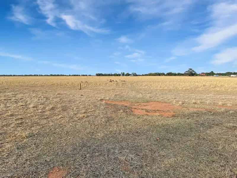 Rural property For Sale , Leeton, New South Wales