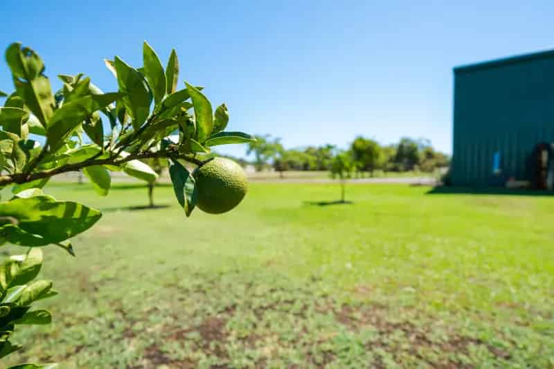 Land For Sale , North Dandalup, Western Australia