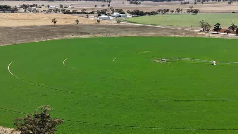 Intensive Irrigation / Mixed Farming