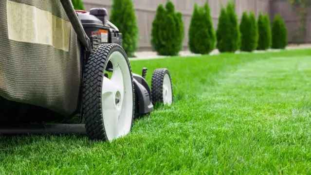 Blue Chip Client Base – Lawn & Garden Maintenance