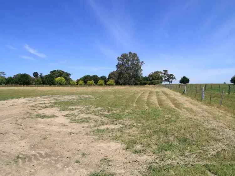 Buy Land Spacious Level Allotment Near Mitchell River