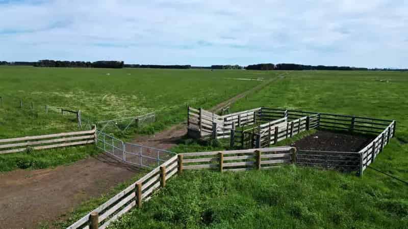 Rural property For Sale , Camperdown, Victoria