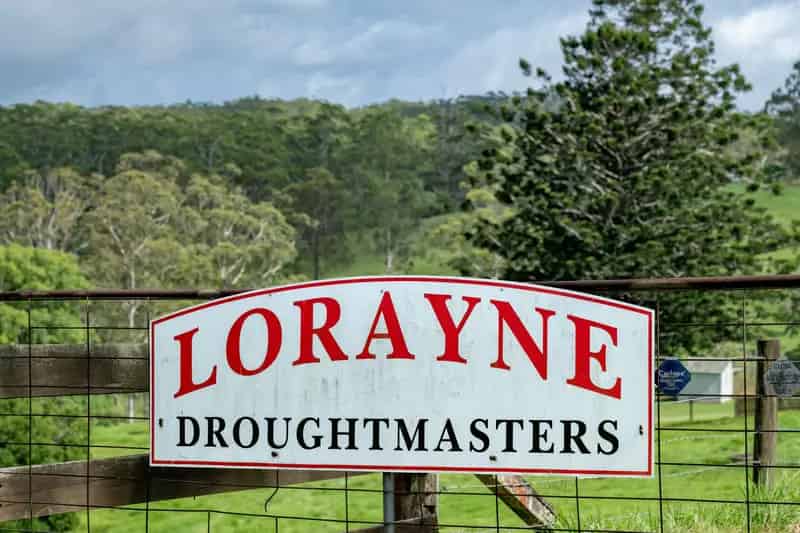 "Lorayne" - Owners are Retiring, This Hinterland Gem has Endless Possibilities!