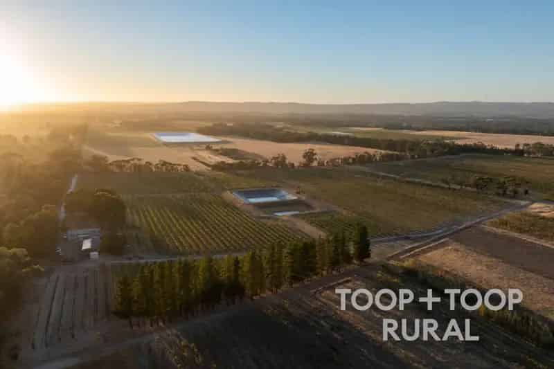 Rural property For Sale , Nuriootpa, South Australia