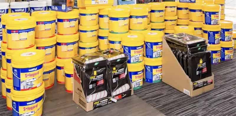 Profitable Paint Franchise in a Growing Regional Hub