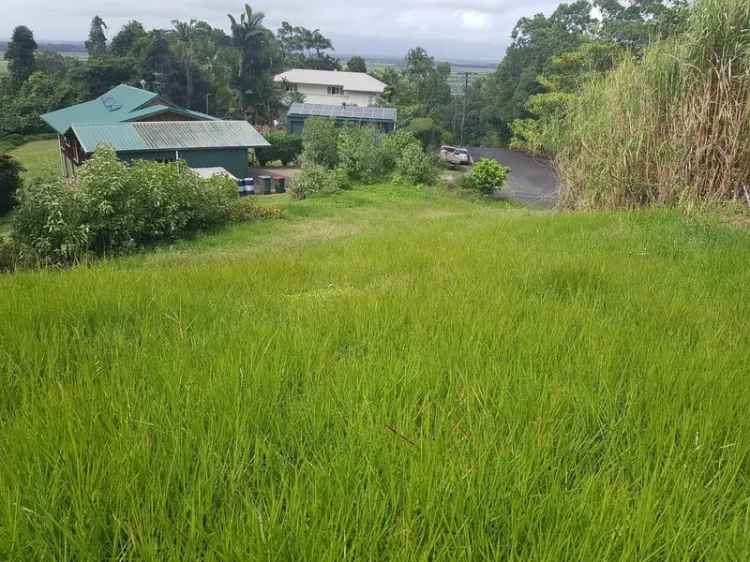 Private Rainforest Allotment Near Town !