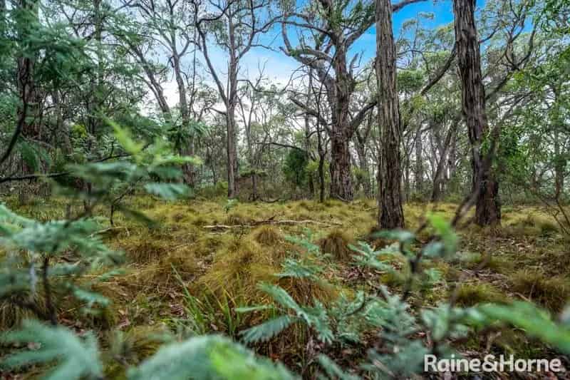 1 Acre (Approx.) Bushland Sanctuary