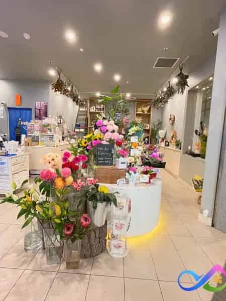 Buy Commercial Property in Glebe Hill - Busy Flower and Bubble Tea Shop