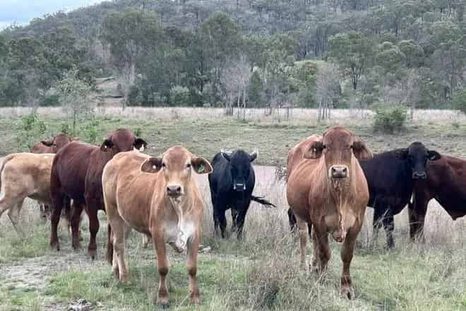 Rural property For Sale , North Burnett Regional, Queensland