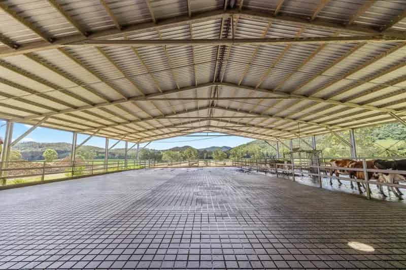 Tom's Creek Dairy