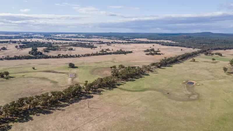 Introducing a Once-in-a-Lifetime Opportunity: 200 Acres of Pristine Land in Graytown