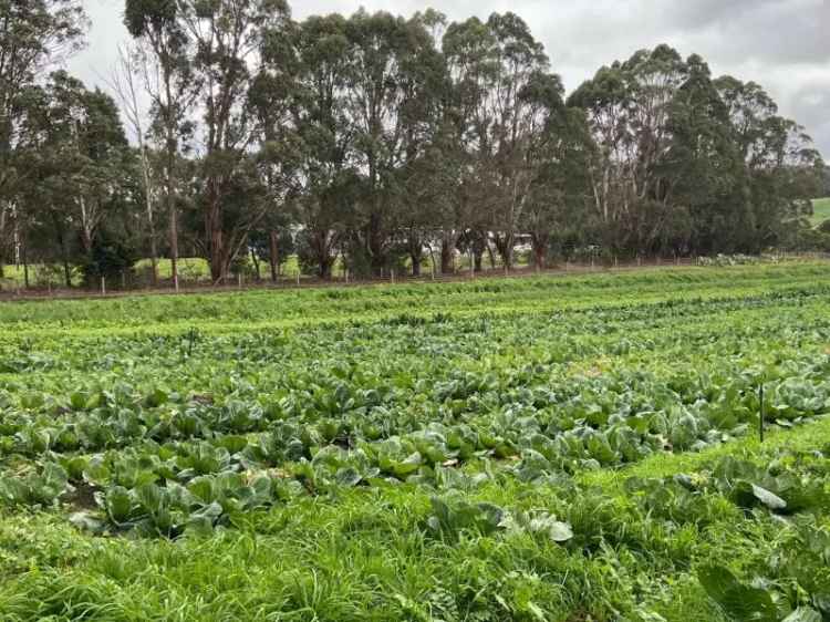 Established Organic Farm Southwest Victoria - (IWF2429)