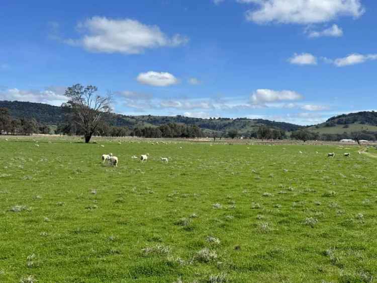 Rural For Sale in Cootamundra, New South Wales