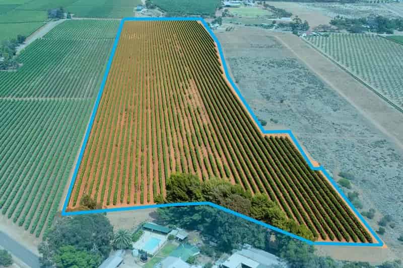 Rural property For Sale , Glossop, South Australia