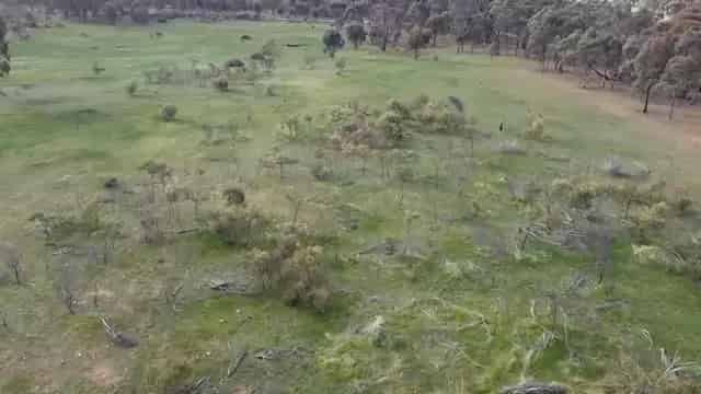 20 Acres - Picturesque Property
