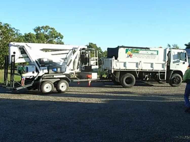 Arborist /Tree Lopping