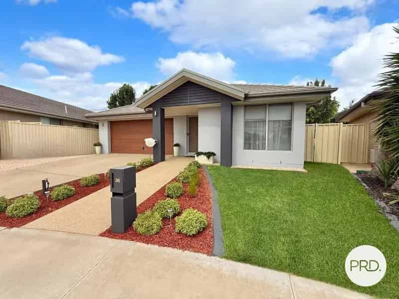 A Must-See for First Home Buyers and Investors