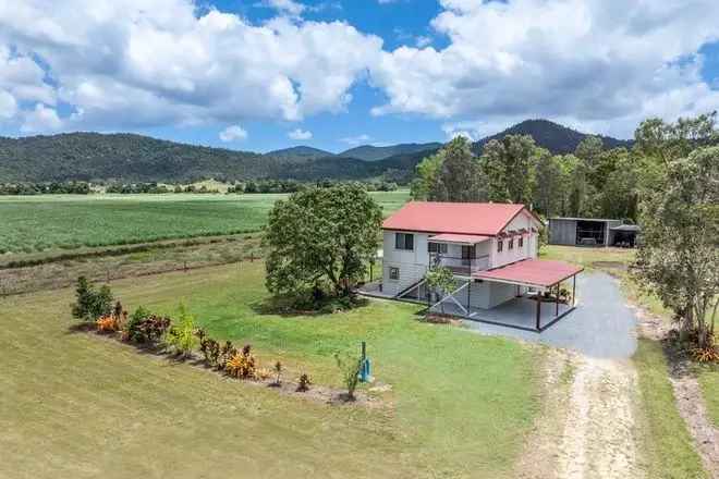 5 Acre Gem in Strathdickie - Horse Enthusiasts Will Love This One