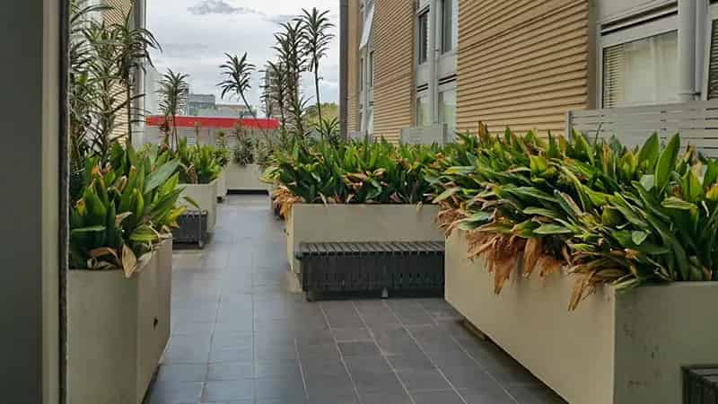 Walk to Swinburne University
