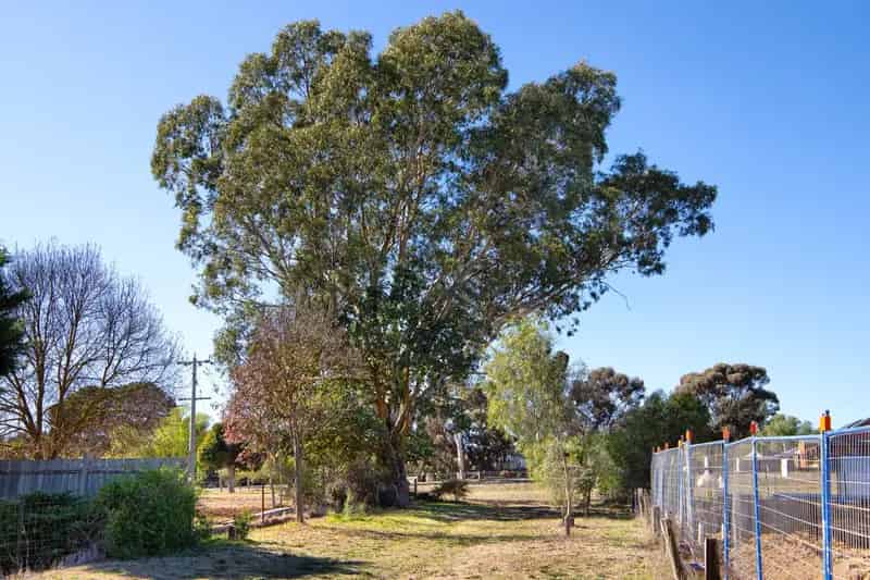 Land For Sale , 62, Brigade Avenue, Shire of Mount Alexander, Victoria